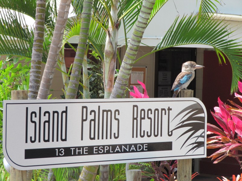 Island Palms Resort Reception